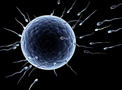 آیا ریختن اسپرم روی واژن باعث بارداری میشود