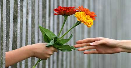 معانی گلها برای هدیه دادن