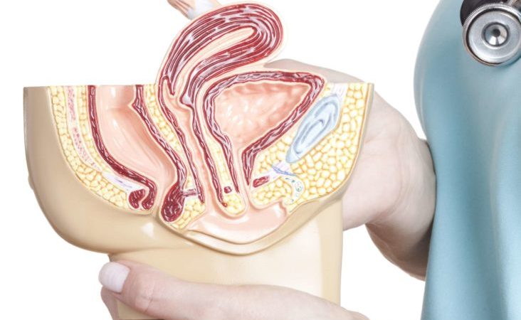 ضخامت آندومتر نرمال چقدره؟
