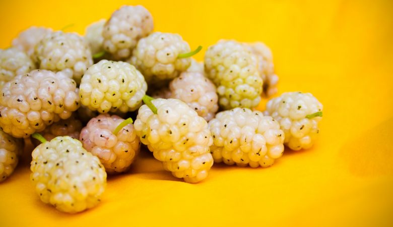 توت سفید در بارداری