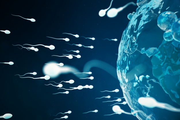 حاملگی با یک قطره اسپرم