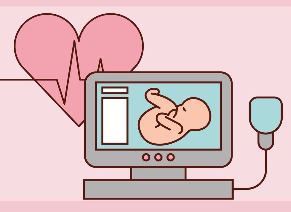 آخرین مهلت تشکیل قلب جنین