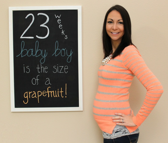 هفته بیست و سوم بارداری یعنی چند ماهگی