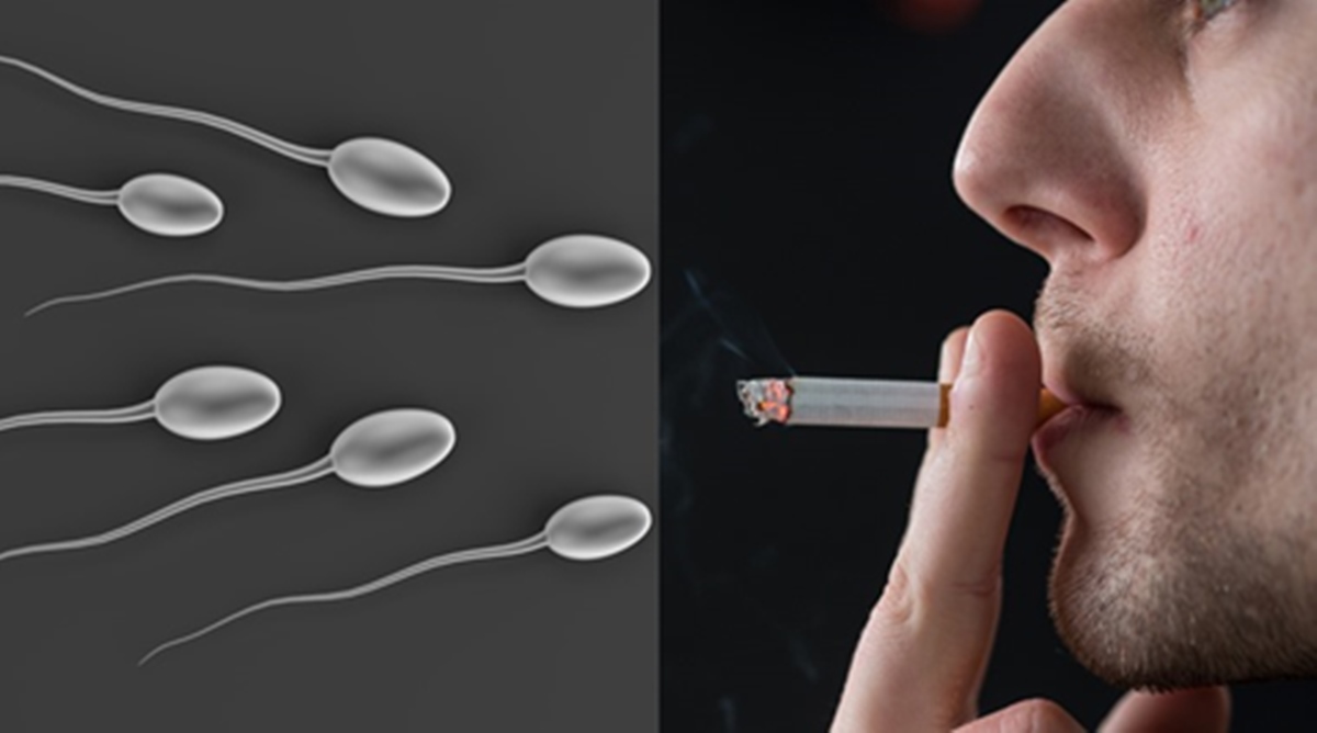 تاثیر "سیگار" بر اسپرم و باروری مردان؛ رابطه استعمال دخانیات با نازایی و اختلال در نعوظ مردان