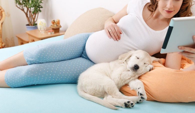 خطرات حیوان خانگی در بارداری