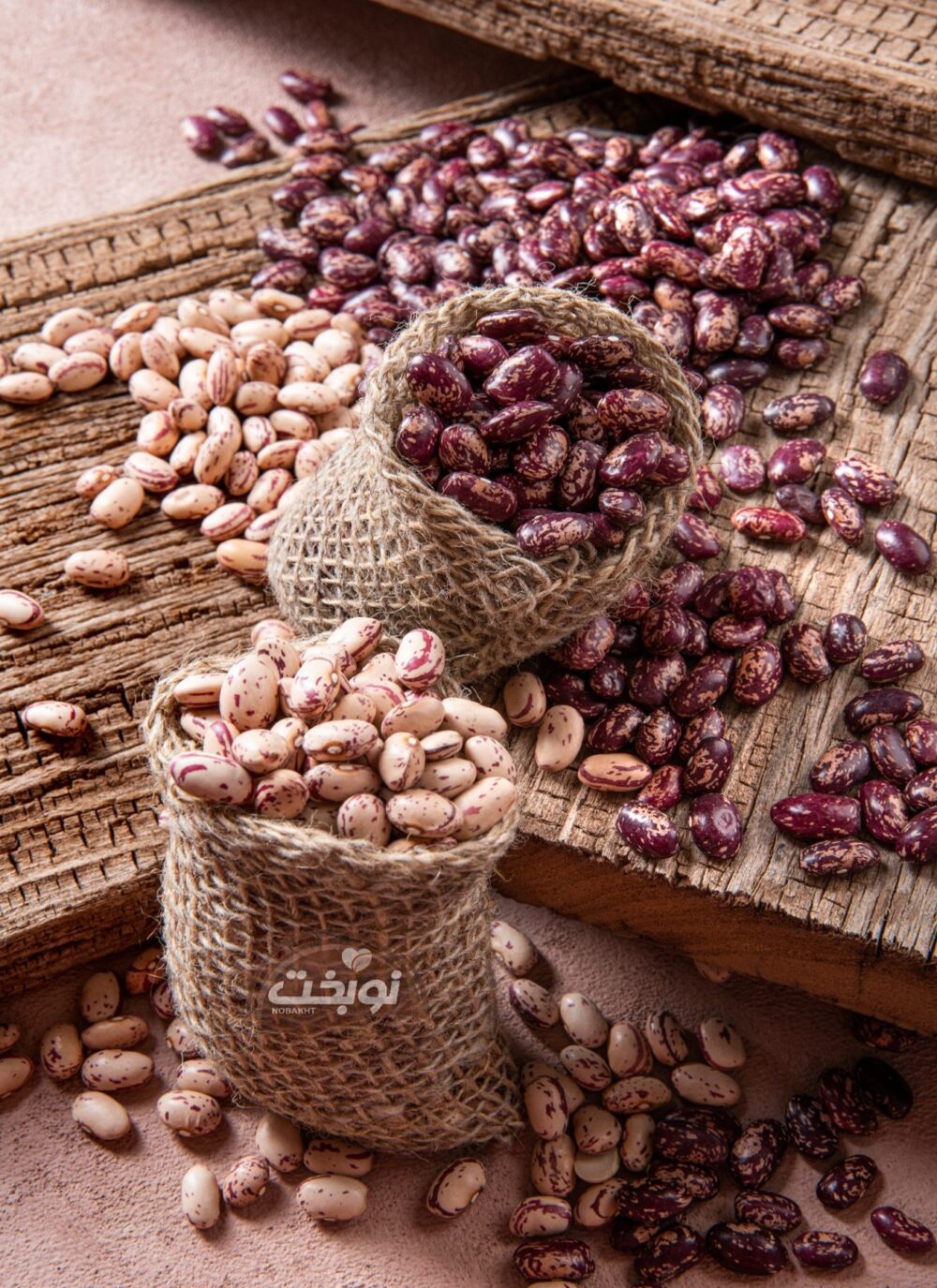 لوبیا چیتی ازبکستان؛ گزینه ایده‌آل صنعت کنسروسازی ایران