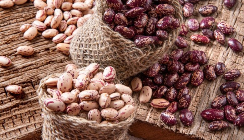 لوبیا چیتی ازبکستان؛ گزینه ایده‌آل صنعت کنسروسازی ایران